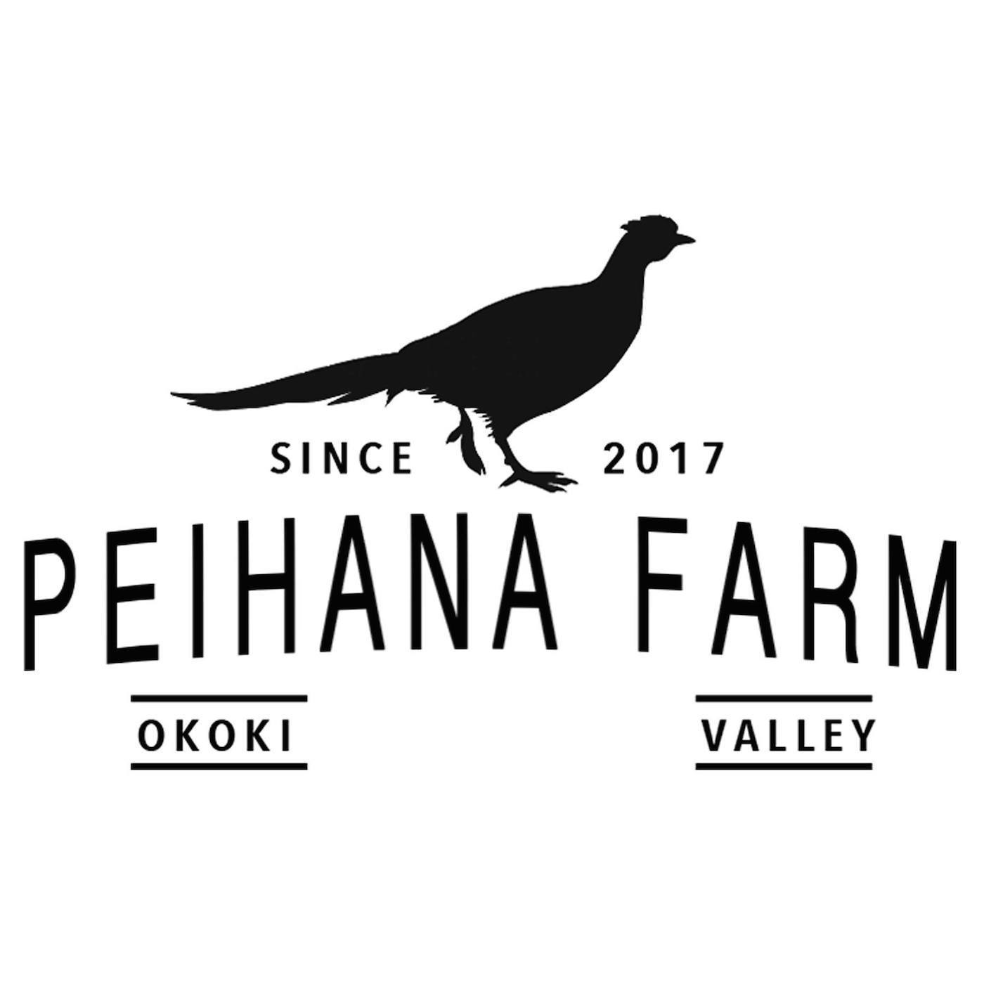 Logo v4